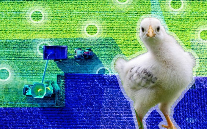 Smart Farming- The Future of Agriculture Farm land and a chicken