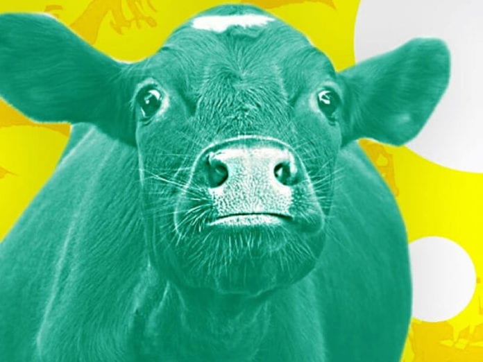 IoT Applications in Agriculture IoT Applications in Agriculture